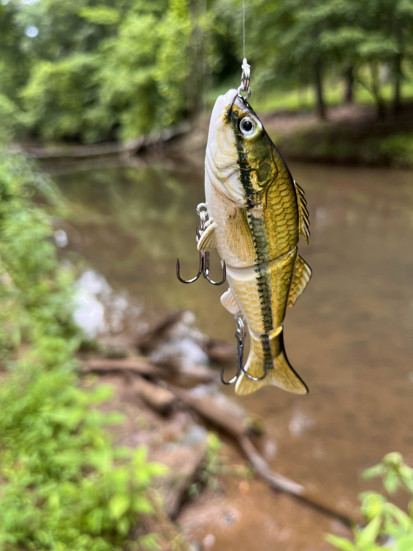 Largemouth Bass Swimbait