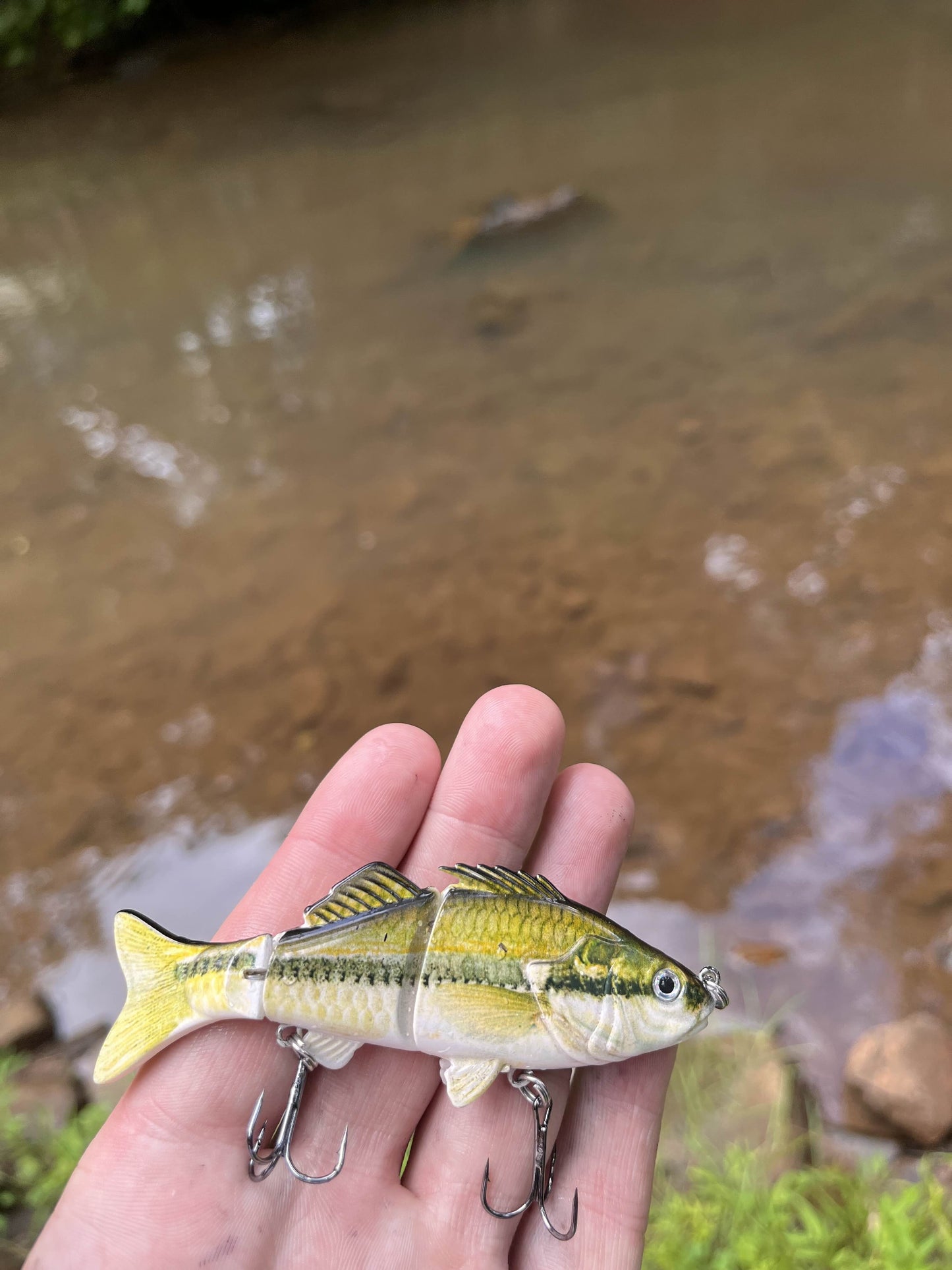 Largemouth Bass Swimbait